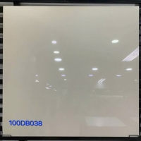 Gạch lát nền Đồng Tâm 2 da 100DB038-NANO