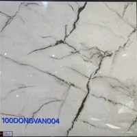 Gạch lát nền Đồng Tâm 100DONGVAN004
