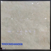 Gạch lát nền Đồng Tâm 100DONGVAN008
