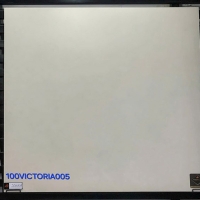 Gạch lát nền Đồng Tâm 100VICTORIA005