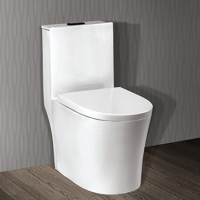 Bồn cầu 1 khối Ceravi C501 (Tặng lavabo, chân chậu)