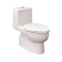 Bồn cầu 1 khối Ceravi C509 (Tặng lavabo, chân chậu)