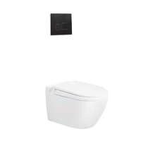 Bồn cầu âm tường Viglacera V51KA