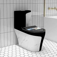 Bồn cầu khối cao cấp BS-9001