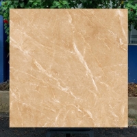 Gạch lát nền CMC 100x100 CGD 1010003S2