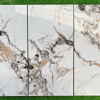 Đá đồng chất khắc kim Trung Quốc 60x120 61217