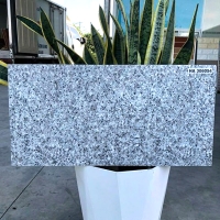 Đá đồng chất lát sân vườn 30x60 HA306054