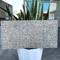 Đá đồng chất lát sân vườn 30x60 HA306057