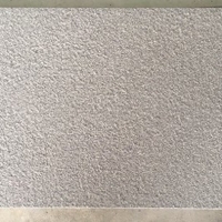 Đá lát sân vườn 30x60 CTGR 3606