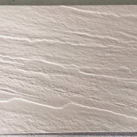 Đá lát sân vườn 30x60 CTGS 3600