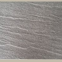 Đá lát sân vườn 30x60 CTGS 3649