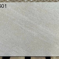 Đá mờ ốp tường Viglacera 300x600 AZ3-GM3601