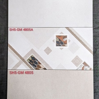 Đá mờ ốp tường Viglacera 40x80 SH5-GM4804-4805