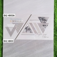 Đá ốp tường Viglacera 40x80 SH2-4801-4803