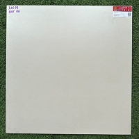 Gạch lát nền mờ 60x60 Prime 32014