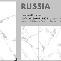 Gạch 80x160 Viglacera VI15-9GP81601