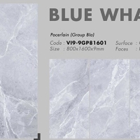 Gạch 80x160 Viglacera VI9-9GP81601