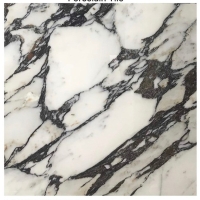 Gạch Ấn Độ 120x120 VA-1206