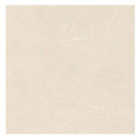 Gạch Ấn Độ 120x120 VA-1232