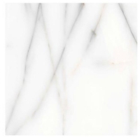 Gạch Ấn Độ 120x120 VA-1238