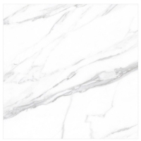 Gạch Ấn Độ 120x120 VA-1252