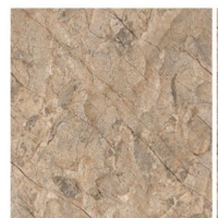 Gạch lát nền Ấn Độ 120x120 VA-1255