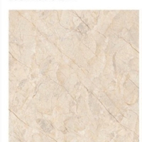 Gạch Ấn Độ 120x120 VA-1256