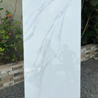 Gạch Ấn Độ 80x160 8101
