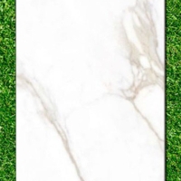 Gạch Ấn Độ 80x160 VA-816.12