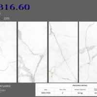 Gạch Ấn Độ 80x160 VA-816.60