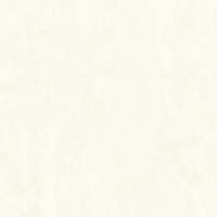 Gạch Bạch Mã 50x50 CG50010