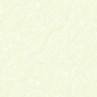 Gạch lát nền Bạch Mã 80x80 HMP80910
