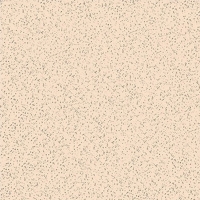 Gạch Bạch Mã Granite 40x40 HG4001