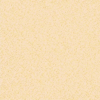 Gạch Bạch Mã Granite 40x40 HG4002