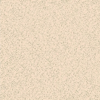 Gạch Bạch Mã Granite 40x40 HG4004