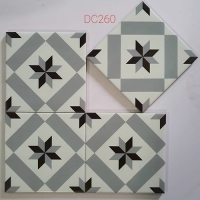 Gạch bông men 20x20 DC260