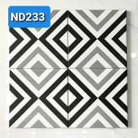 Gạch bông men 20x20 ND233