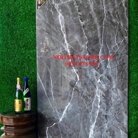 Gạch cao cấp Trung Quốc 80x160 F16811