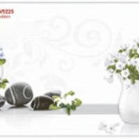 Gạch điểm ốp tường Sunrise 30x60 HV9225