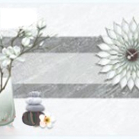 Gạch điểm ốp tường Sunrise 30x60 VG3625