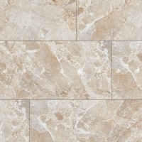 Gạch Đồng Tâm 60120STONE003
