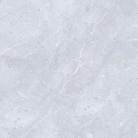 Gạch Đồng Tâm 6060VAMCOTAY003