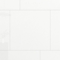 Gạch Đồng Tâm 8080SNOW001