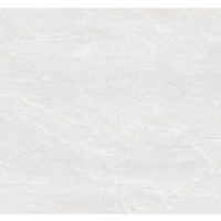 Gạch Đồng Tâm bóng 4080FAME001