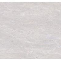 Gạch Đồng Tâm bóng 4080FAME002