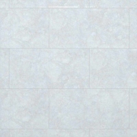 Gạch Đồng Tâm bóng 4080FAME006