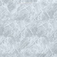 Gạch Đồng Tâm bóng 4080FAME009
