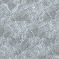 Gạch Đồng Tâm bóng 4080FAME010