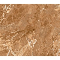 Gạch Đồng Tâm bóng 4080REGAL003