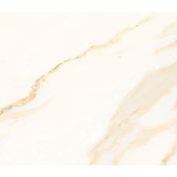 Gạch Đồng Tâm bóng 4080REGAL005